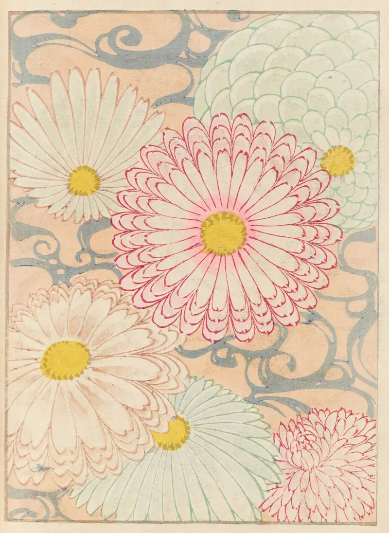 Shin-Bijutsukai Taf. 504 von Furuya Kōrin