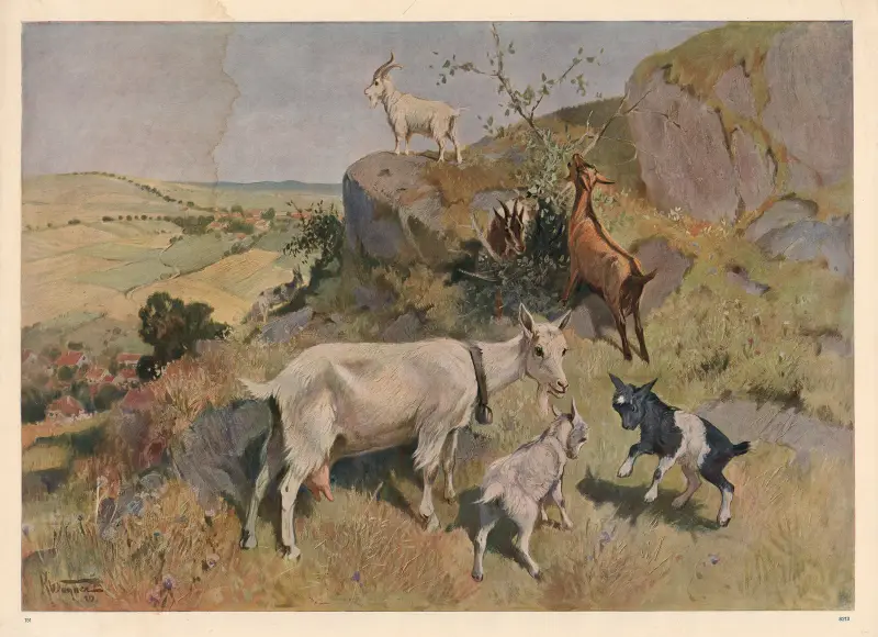 Štika, 1913, Karl Wagner