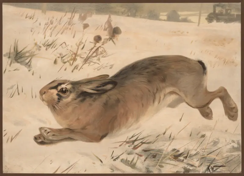 Hare på vintern av Karl Wagner