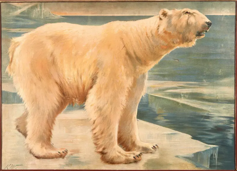 Isbjørn av Karl Wagner