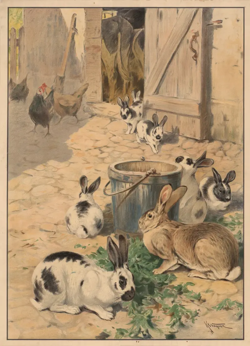 Kaninchen von Karl Wagner