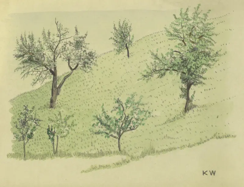 Ohne Titel (Laubbäume auf Hügel) av Karl Wiener
