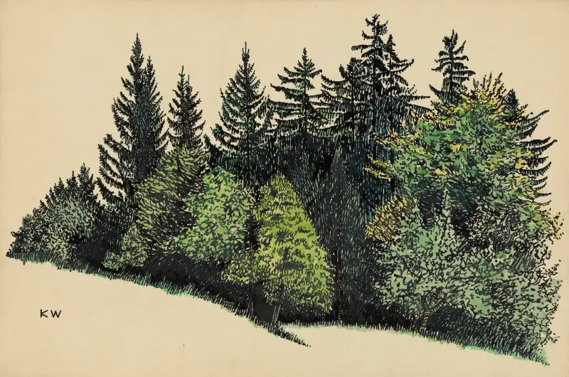Utan titel (Skogsstycke) av Karl Wiener