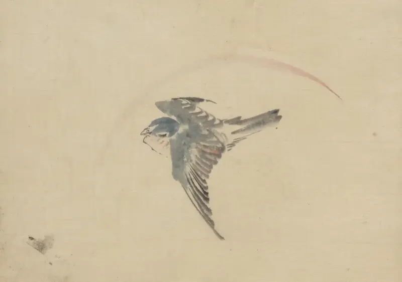 A bird flying to the left, seen from above av Katsushika Hokusai