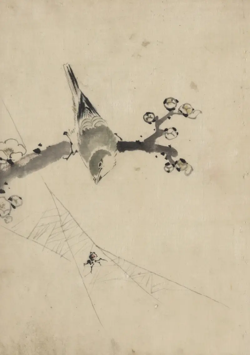 A bird perched on a tree branch with blossoms, watching a spider on a web av Katsushika Hokusai