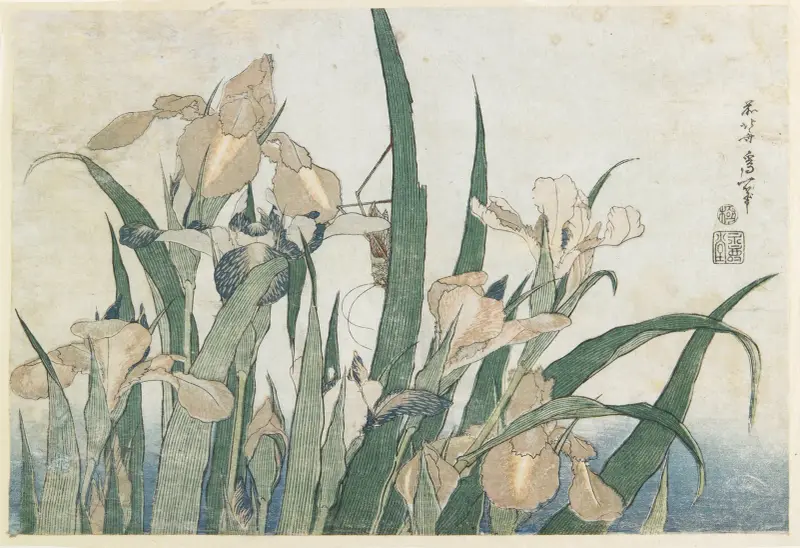Irises and Grasshopper av Katsushika Hokusai
