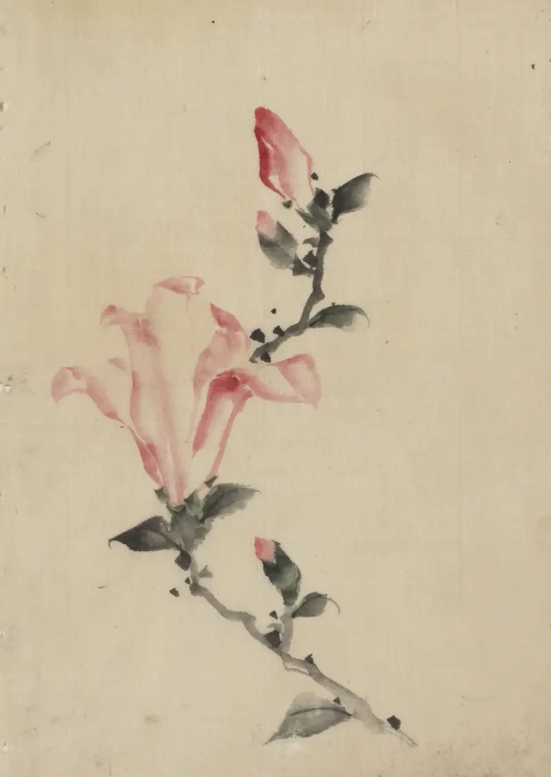 Large pink blossom on a stem with three additional buds av Katsushika Hokusai