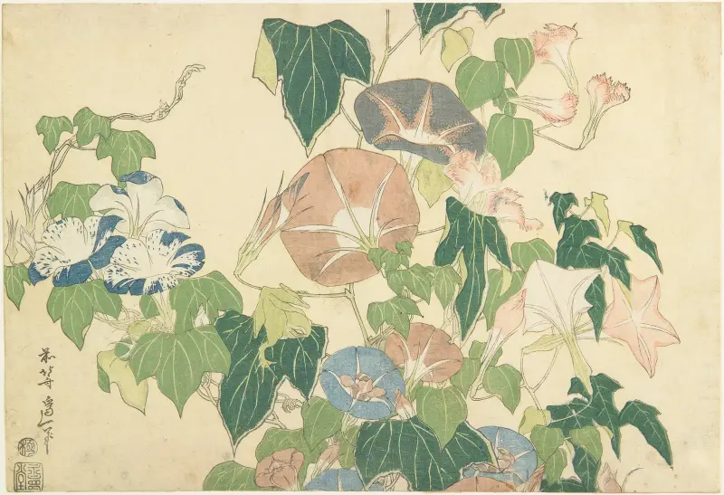 Prunkwinden und Laubfrosch von Katsushika Hokusai