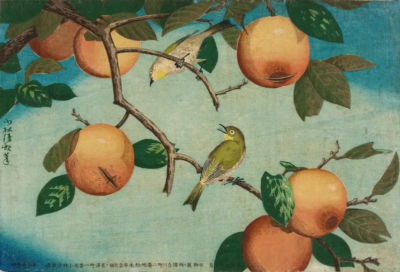 Persimmoner och vitögon av Kobayashi Kiyochika