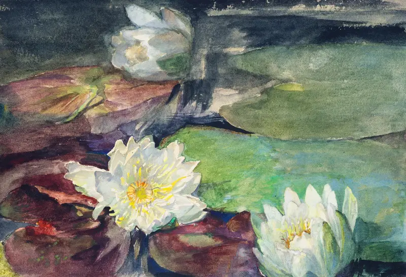 Näckrosor med gröna blad av John La Farge