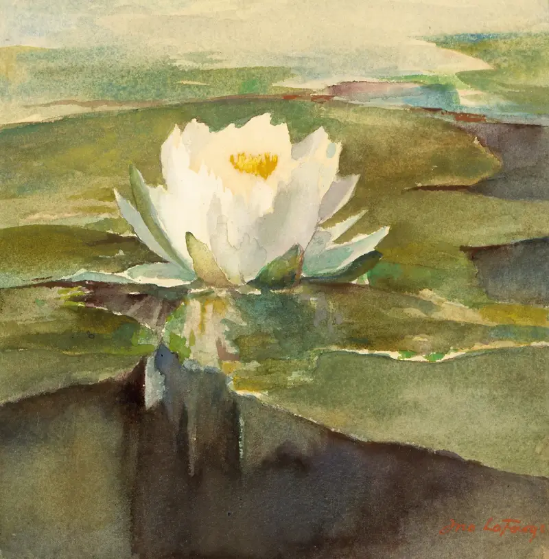 Vita näckrosor i solljus av John La Farge