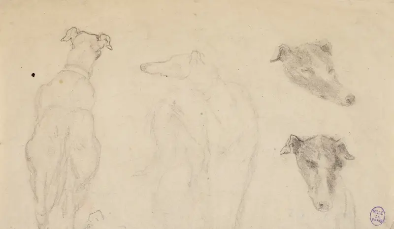 Två skisser av hundar, och två croquis av hundhuvud av Narcisse-Virgile Diaz de La Peña