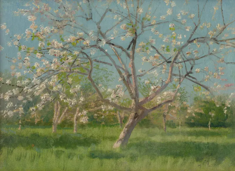 Studie blühender Bäume in einem Obstgarten von Ladislav Mednyánszky