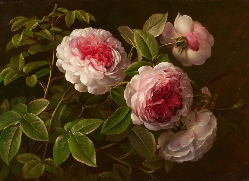 Rosa Rosen von Johan Laurentz Jensen