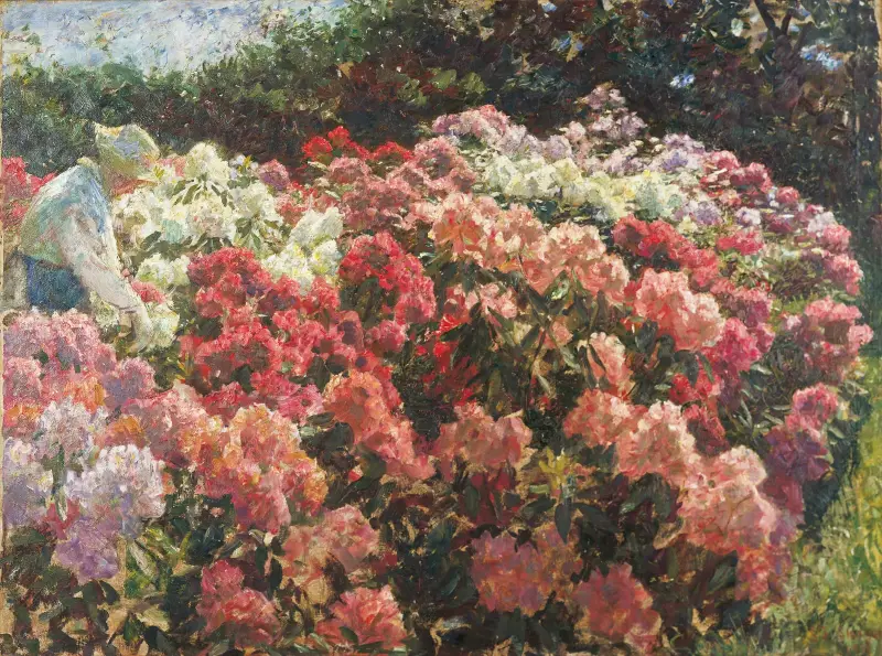 Rhododrendron in Tuxen’s garden av Laurits Tuxen