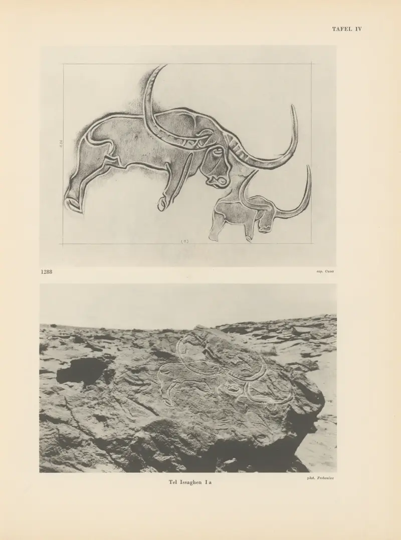 Ekade Ektab die Felsbilder Fezzans Pl.12 av Leo Frobenius