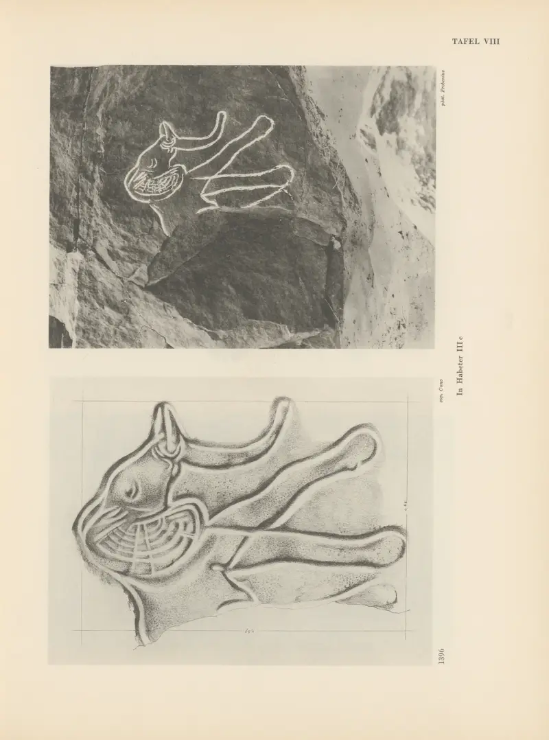 Ekade Ektab die Felsbilder Fezzans Pl.14 av Leo Frobenius