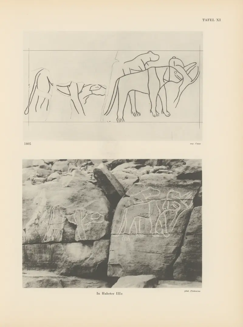 Ekade Ektab die Felsbilder Fezzans Pl.16 av Leo Frobenius