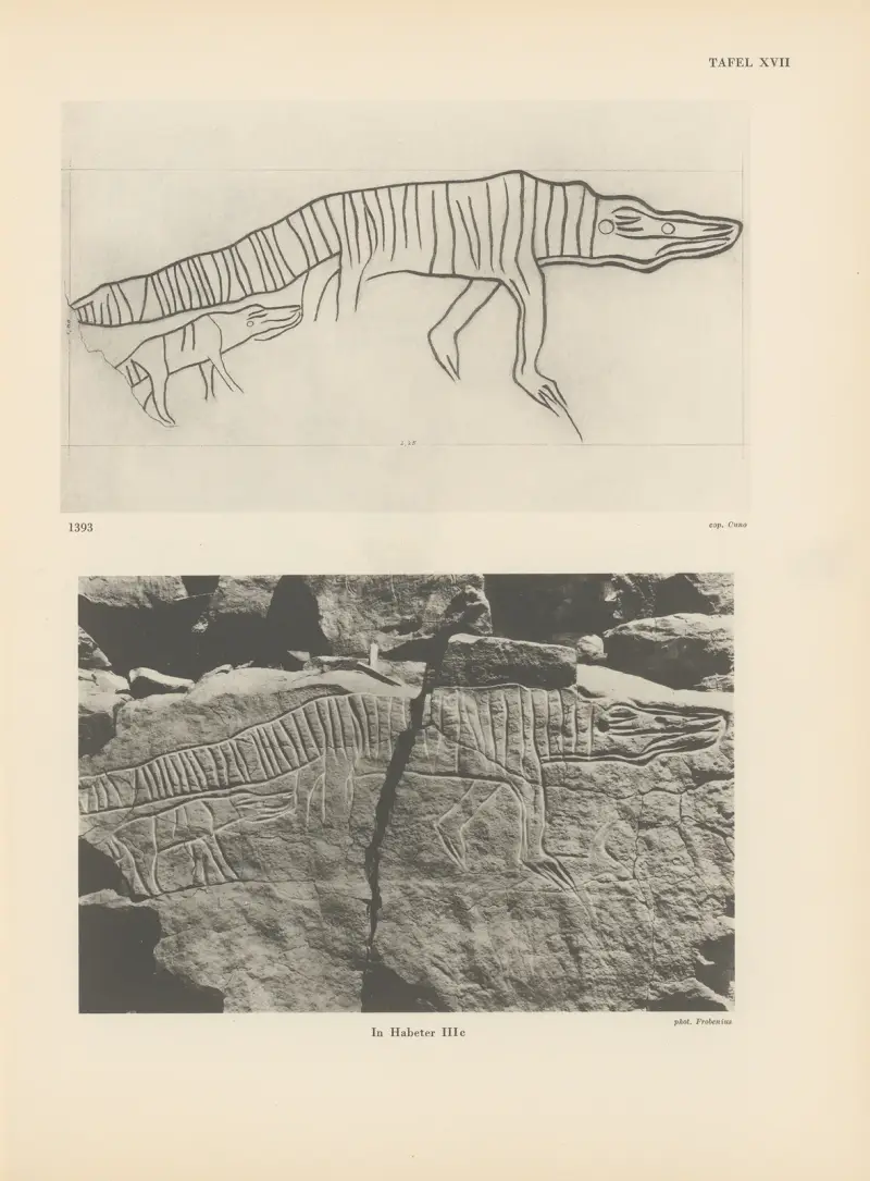 Ekade Ektab die Felsbilder Fezzans Taf. 20 von Leo Frobenius