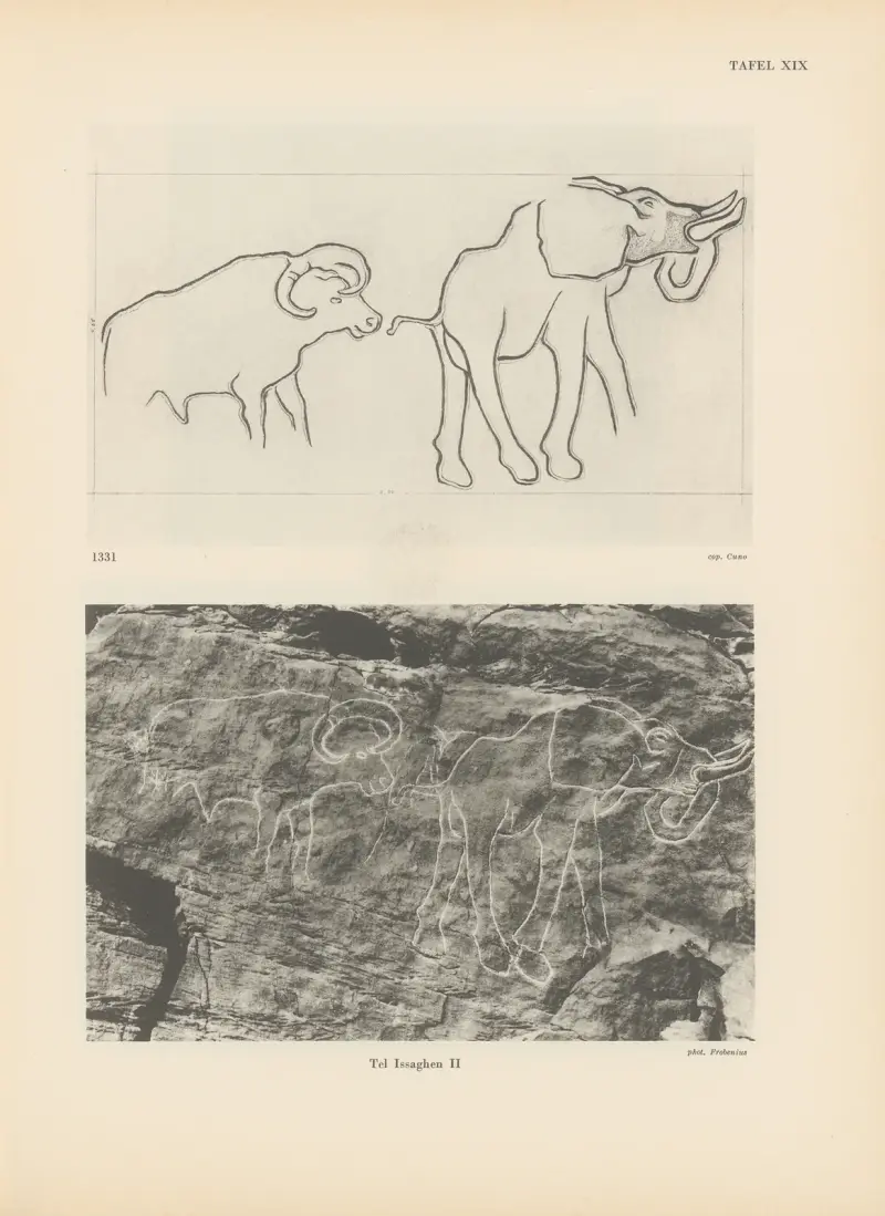 Ekade Ektab die Felsbilder Fezzans Pl.22 av Leo Frobenius