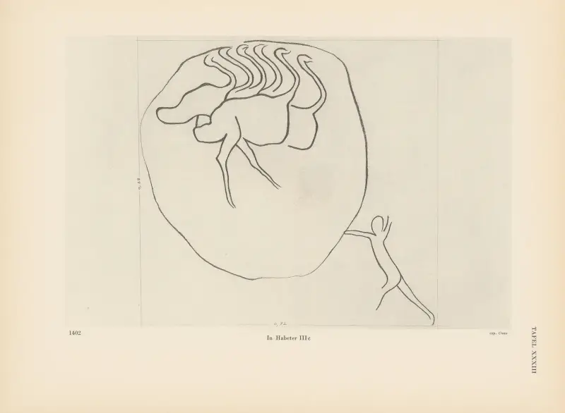 Ekade Ektab die Felsbilder Fezzans Pl.33 av Leo Frobenius