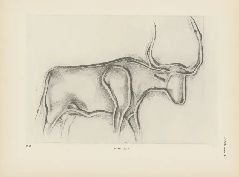 Ekade Ektab die Felsbilder Fezzans Pl.37 av Leo Frobenius
