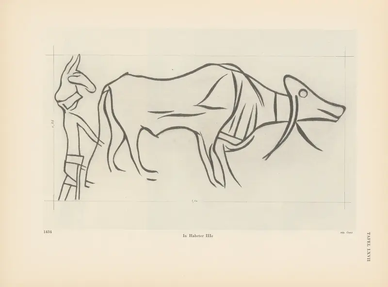 Ekade Ektab die Felsbilder Fezzans Pl.54 av Leo Frobenius