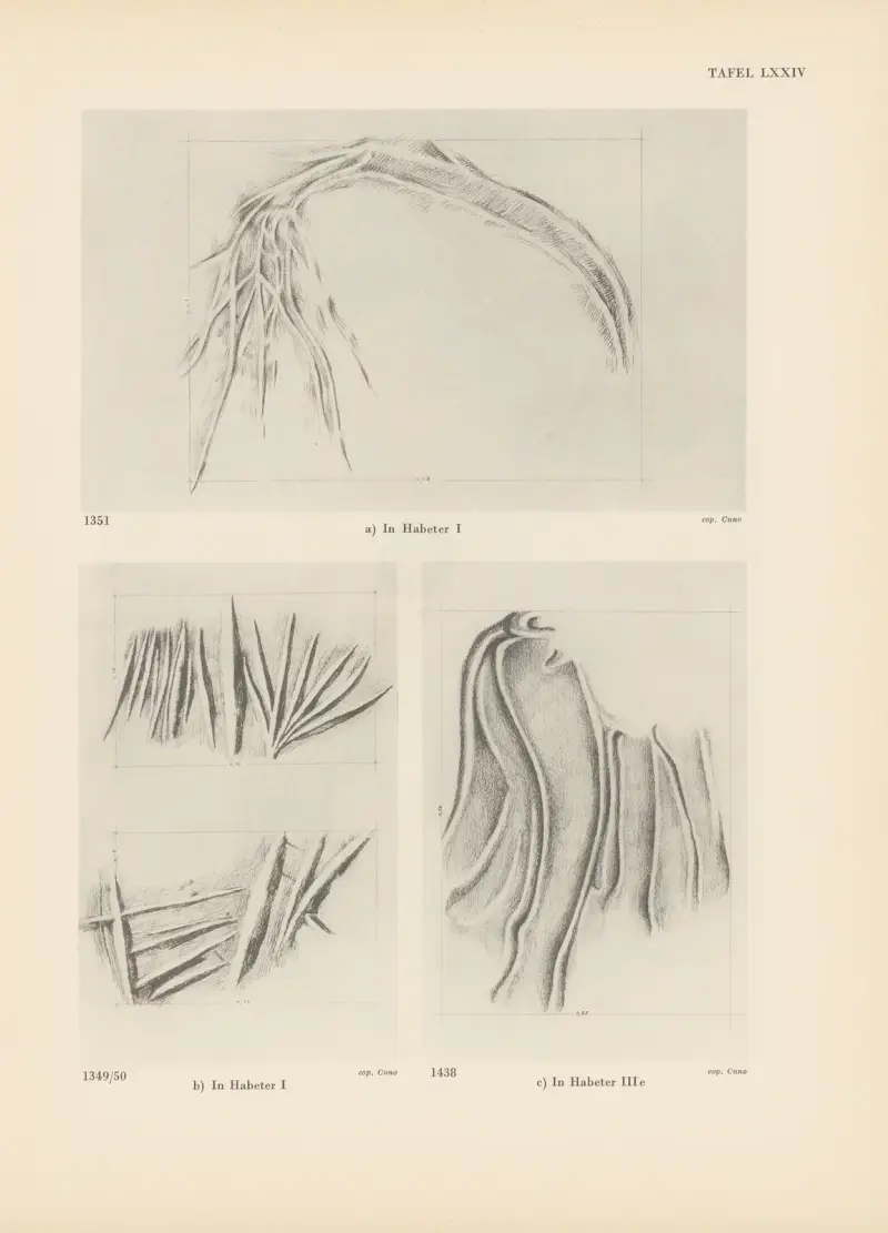 Ekade Ektab die Felsbilder Fezzans Pl.68 av Leo Frobenius