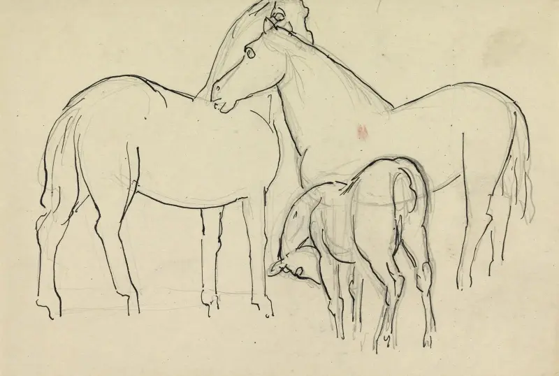 Skissblad med tre hästar av Leo Gestel