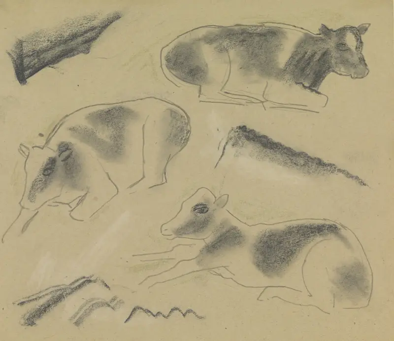 Skissblad med studie av tre kor av Leo Gestel
