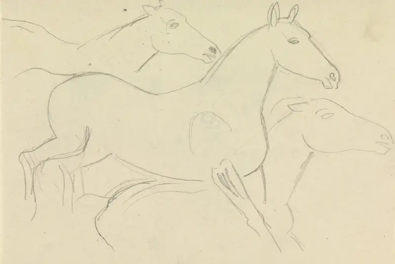 Skissblad med häststudier av Leo Gestel
