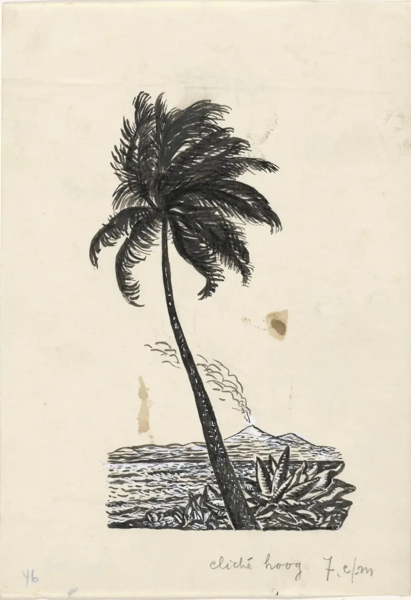 Tropiskt landskap med palm och vulkan av Leo Gestel