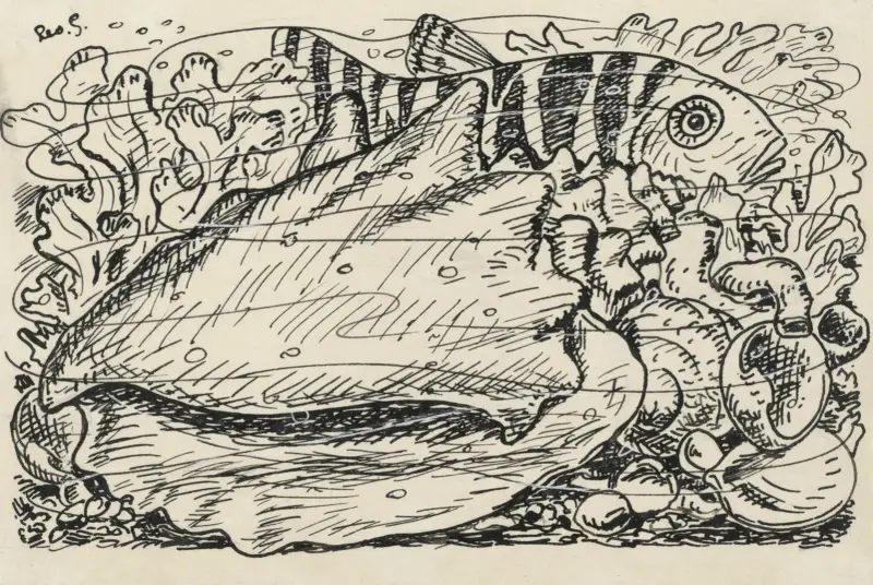 En snäcka i vattnet av Leo Gestel