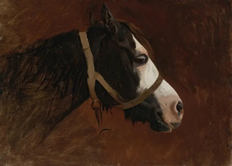 Profil av en häst av Jean-Léon Gérôme