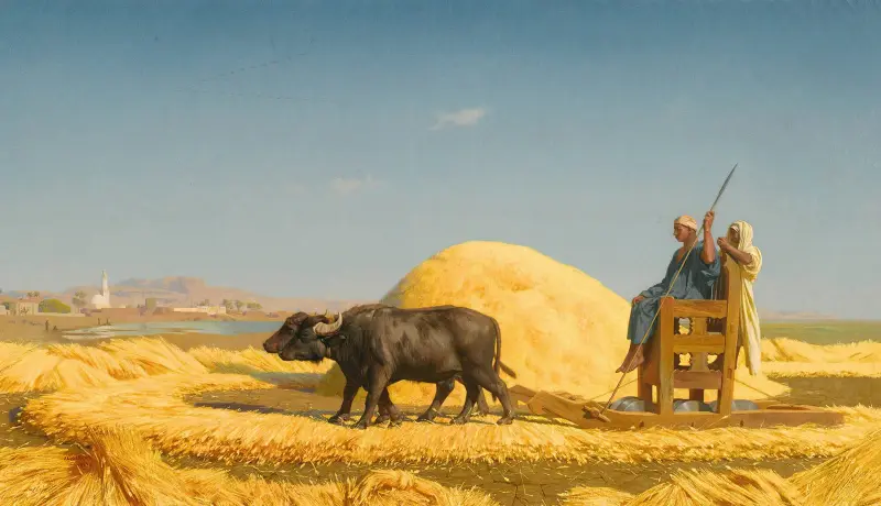 Tröskningsarbetarna i Egypten av Jean-Léon Gérôme