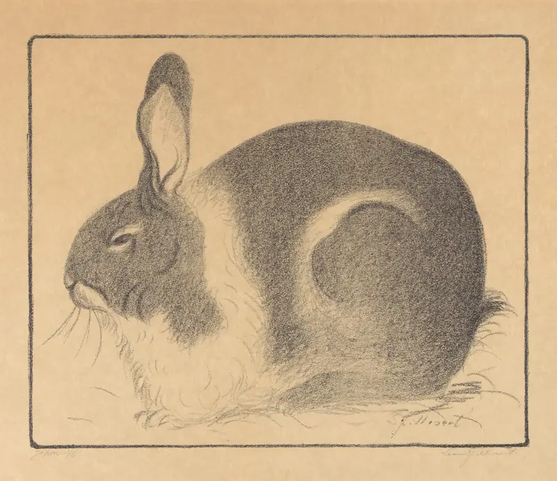 Rabbit von Léon Spilliaert