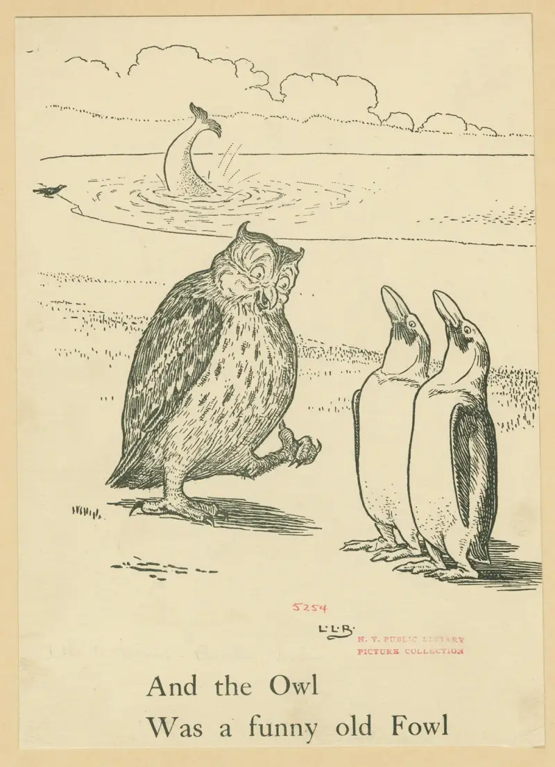 And the owl was a funny old fowl. av Leonard Leslie Brooke