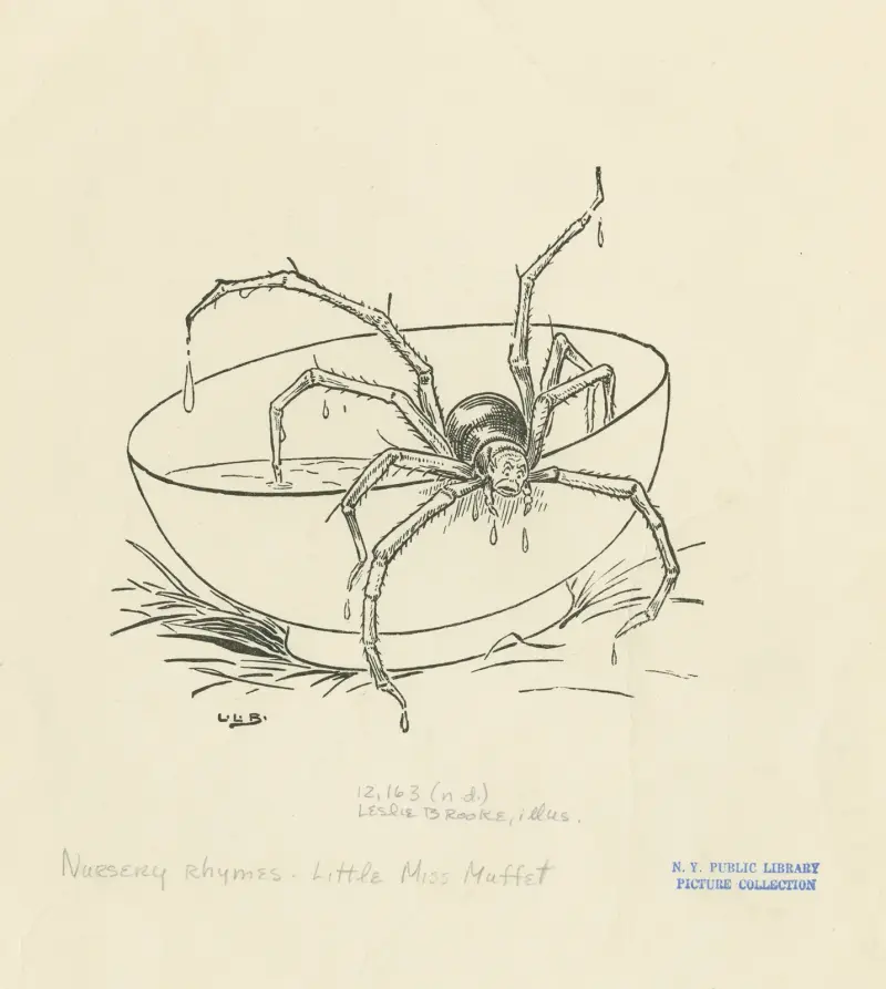 There came a big spider av Leonard Leslie Brooke
