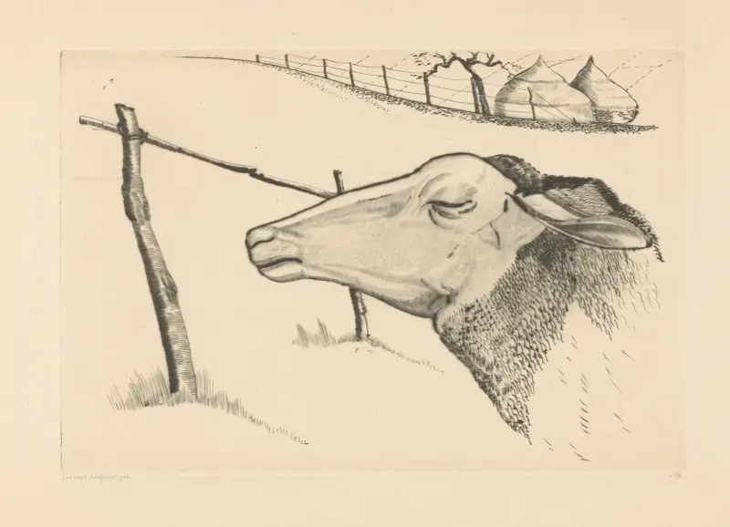 Das schlafende Schaf von Lodewijk Schelfhout