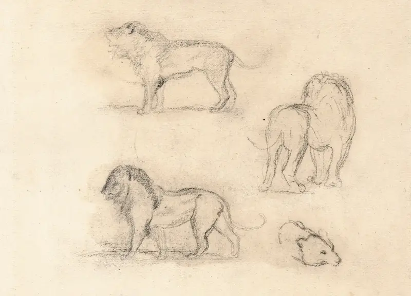 Etude de trois lions et une tête d’ours av Antoine-Louis Barye
