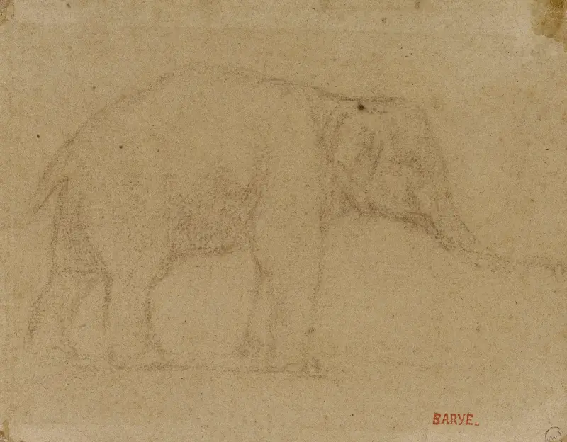 Studie eines schreitenden Elefanten von Antoine-Louis Barye