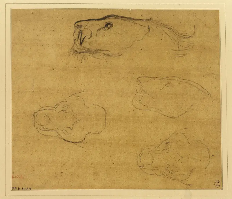 Feuille d’études de têtes de tigres av Antoine-Louis Barye