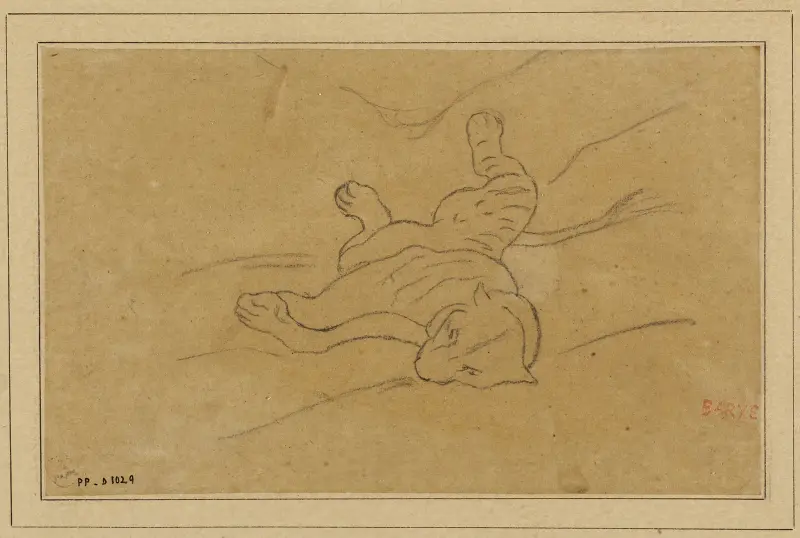 Ležící panther, zepředu, Antoine-Louis Barye