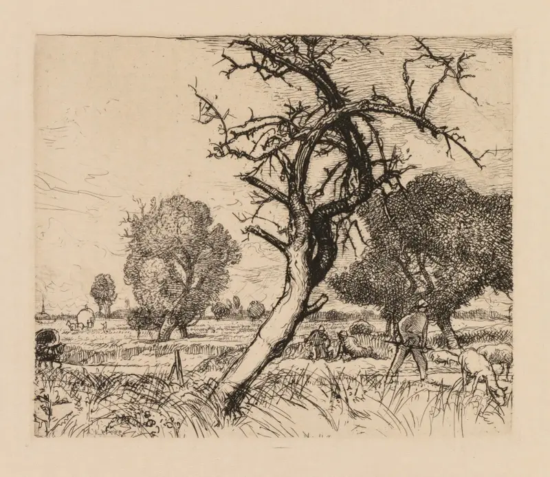 Det döda äppelträdet (Picardie) av Auguste Louis Lepère