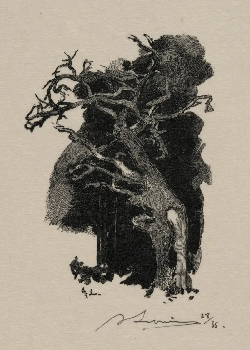 Le Rageur von Auguste Louis Lepère