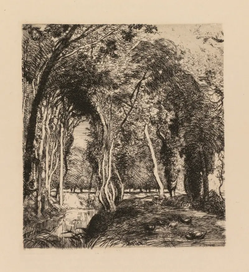 Sous bois, à la Rigonette (Vendèe) av Auguste Louis Lepère
