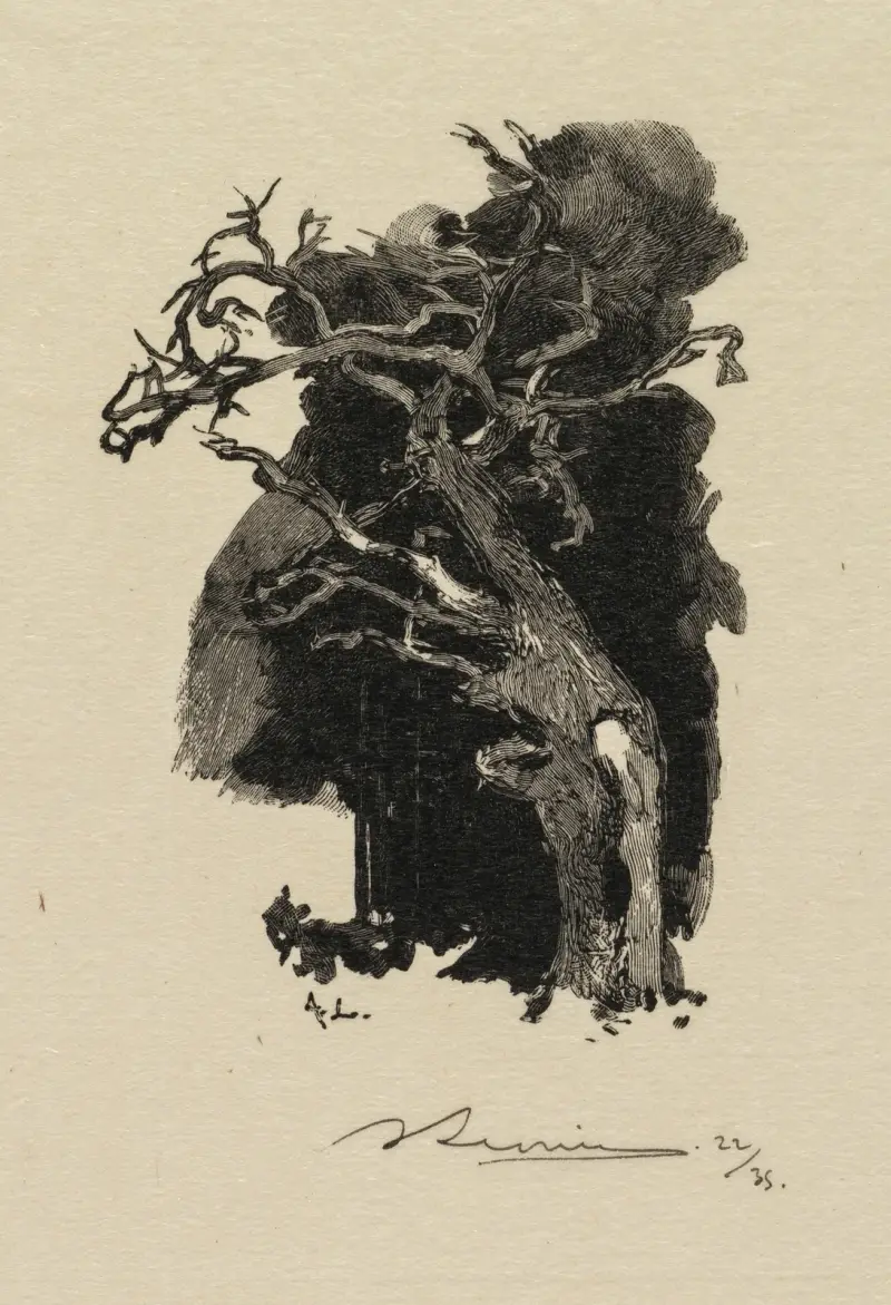 Den rasande av Auguste Louis Lepère