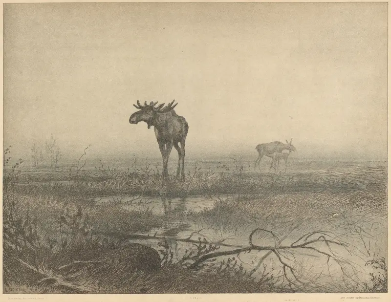 Pravěk (Pre Stoneage Denmark), Louis Moe