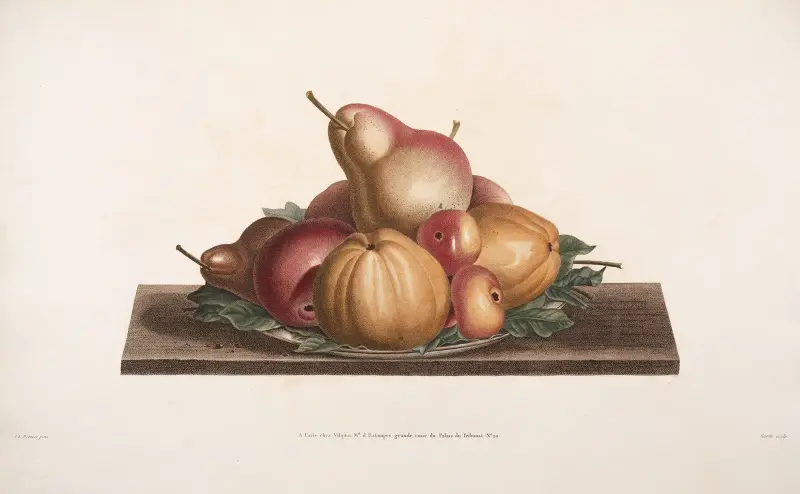 Tallrik med Bon – Chrétien, Calville blanc, Pomme-rose, Api och Coing av Jean Louis Prévost