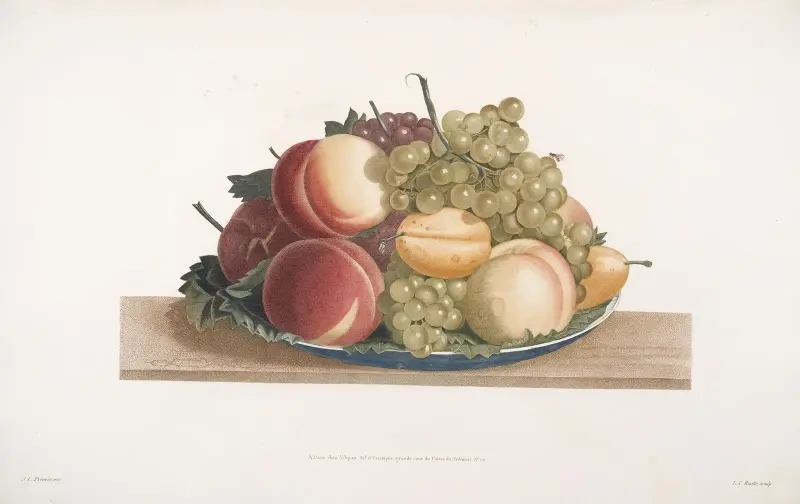 Assiette de Chasselas musqué, Muscat noir, Prune-Aubert, et Pêche admirable av Jean Louis Prévost